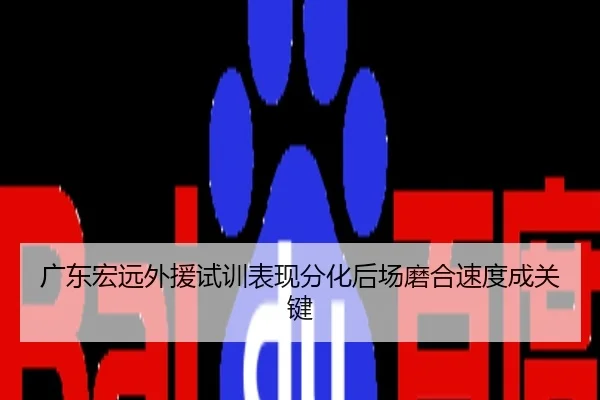 广东宏远外援试训表现分化后场磨合速度成关键