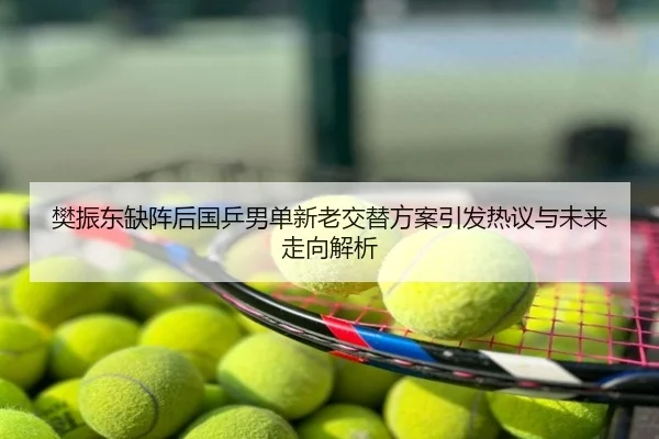 樊振东缺阵后国乒男单新老交替方案引发热议与未来走向解析